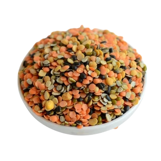 Dal